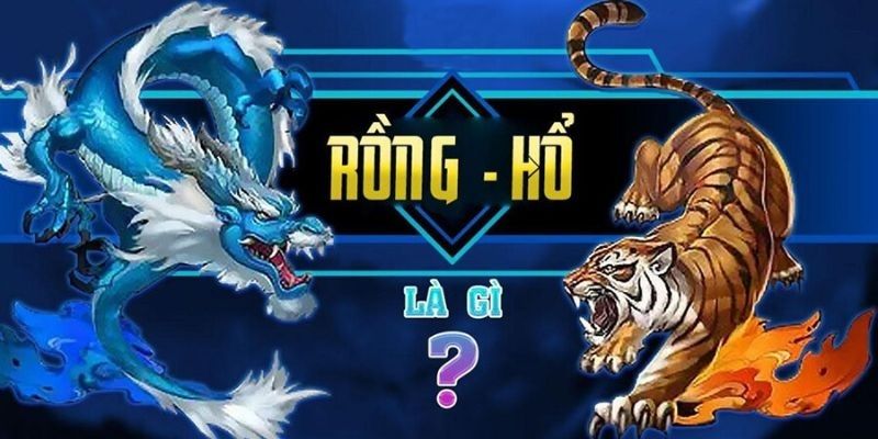 Hiểu Về Rồng Hổ Online Là Gì?